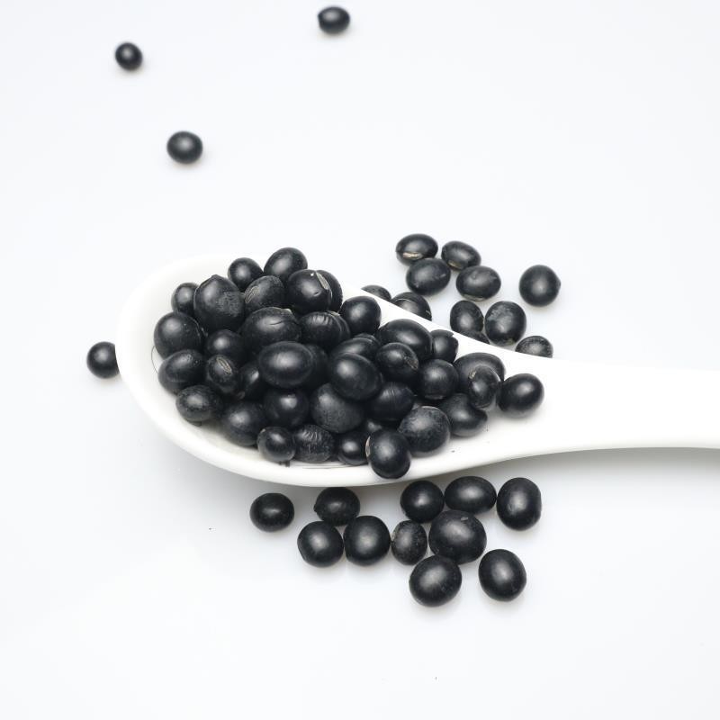 东北黑豆厂家现货青仁品质新粮绿心黑豆 煮粥绿芯黑皮黑豆25kg图5