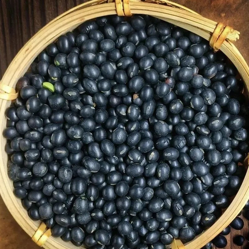 内蒙古粒粒道黑豆黄芯500g真空包装粗粮杂粮源头厂家图2