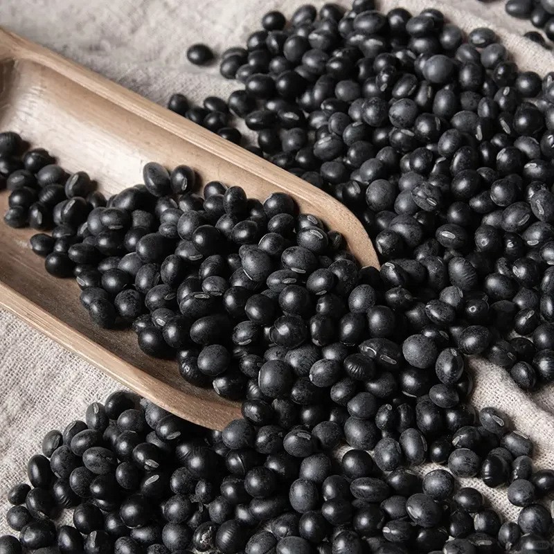 内蒙古粒粒道黑豆黄芯500g真空包装粗粮杂粮源头厂家图3