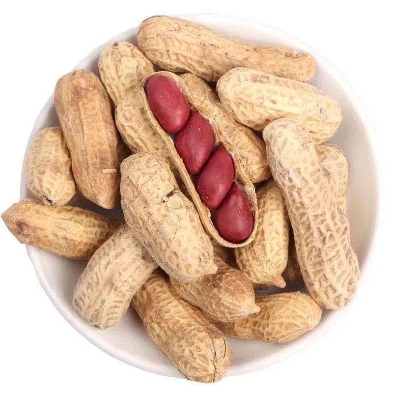 内蒙古粒粒道有机花生400g真空源头工厂农家五谷杂粮图3