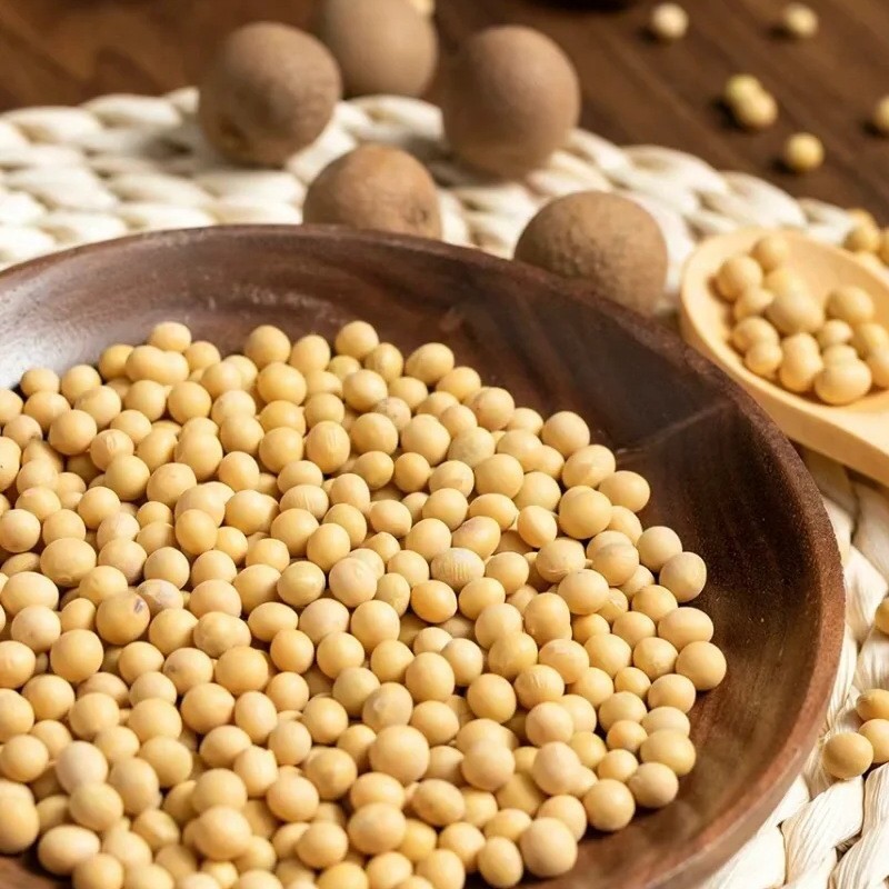 内蒙古粒粒道有机黄豆500g芽豆真空包装粗粮源头工厂图3