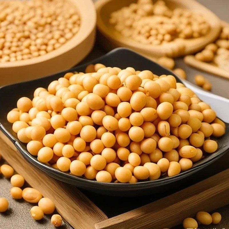 内蒙古粒粒道有机黄豆500g芽豆真空包装粗粮源头工厂图4