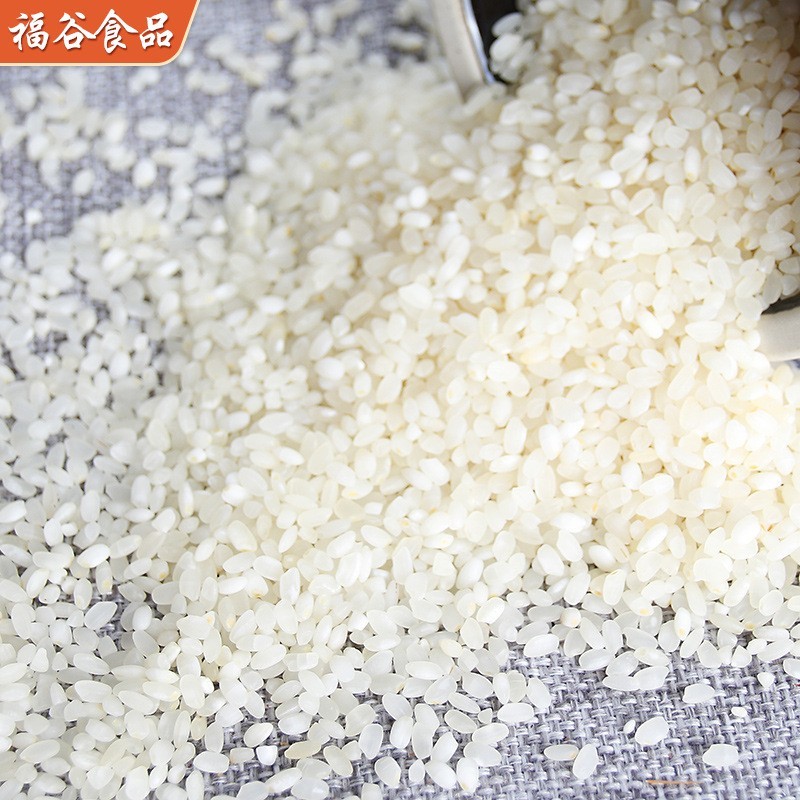 熟五谷杂粮熟大米五谷磨粉五谷豆浆现磨原料500g熟大米粒图2