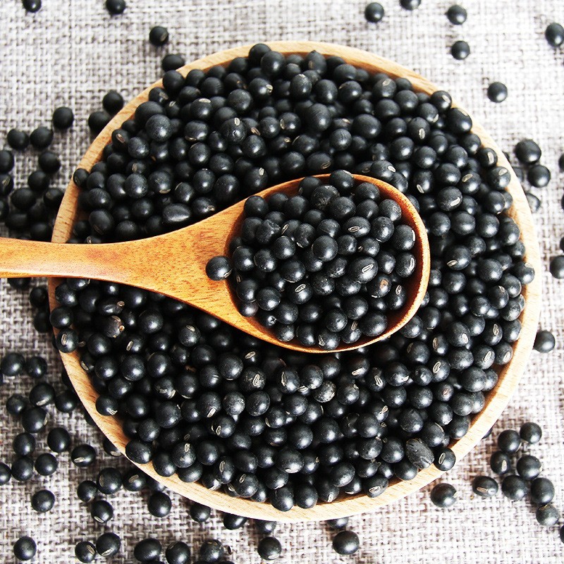 低温烘焙熟黑豆（黄心） 5斤/包五谷磨坊黑豆豆浆原料即食熟豆子图4