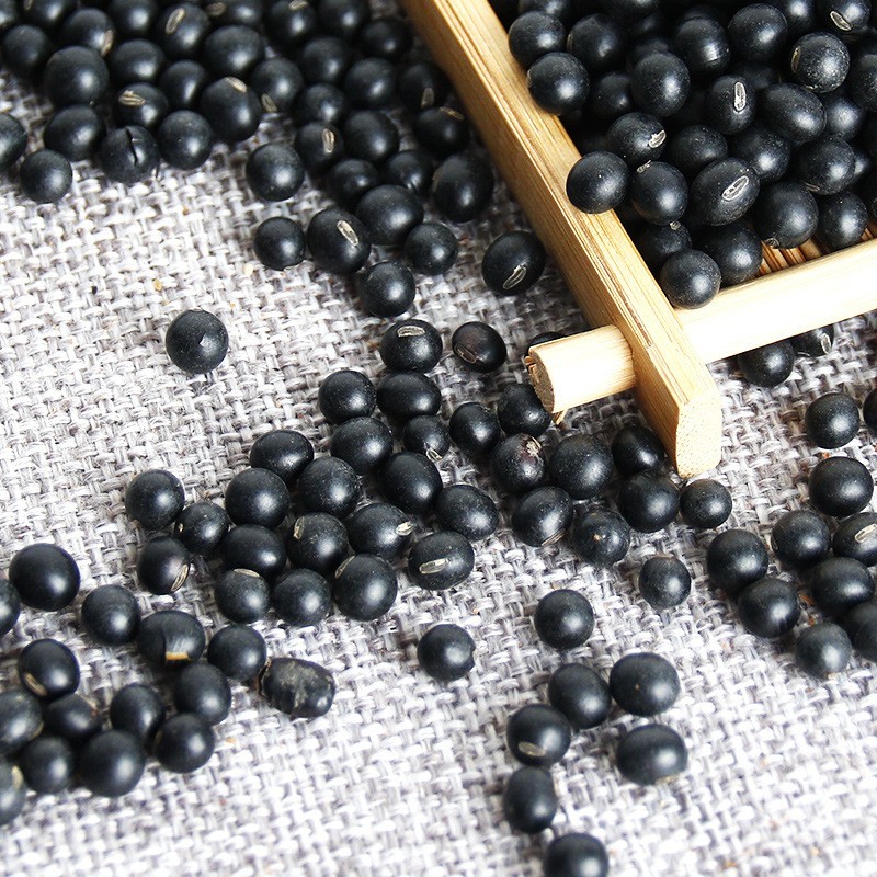 低温烘焙熟黑豆（黄心） 5斤/包五谷磨坊黑豆豆浆原料即食熟豆子图3