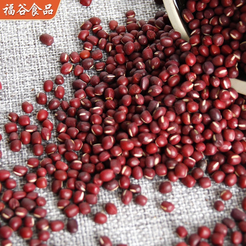 工厂定制不同克重包装熟红豆磨粉代用茶原料低温烘焙食材熟红小豆图3