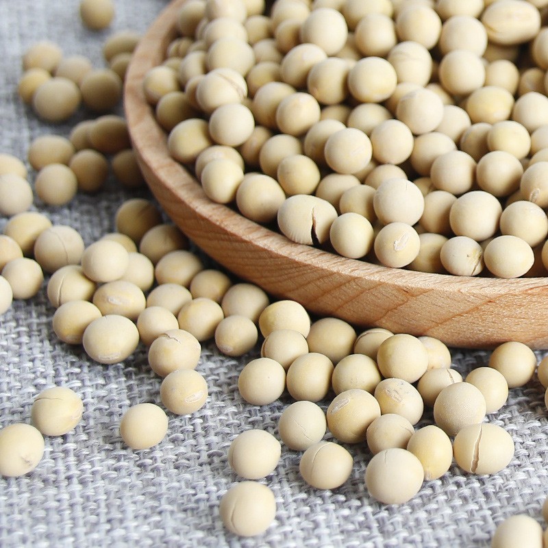 早餐豆浆包低温烘焙的熟黄豆免洗免泡免煮破壁机材料包5斤装黄豆图3