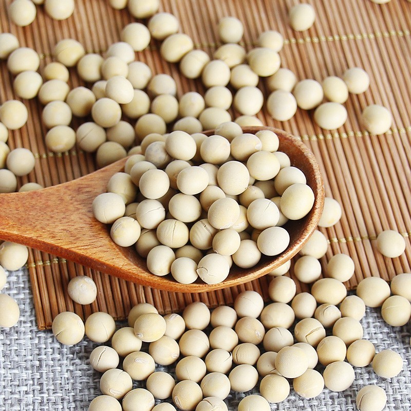 早餐豆浆包低温烘焙的熟黄豆免洗免泡免煮破壁机材料包5斤装黄豆图4