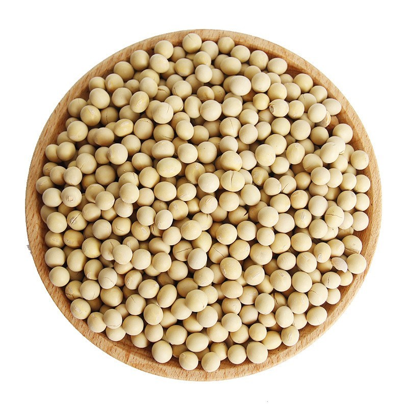 早餐豆浆包低温烘焙的熟黄豆免洗免泡免煮破壁机材料包5斤装黄豆图5