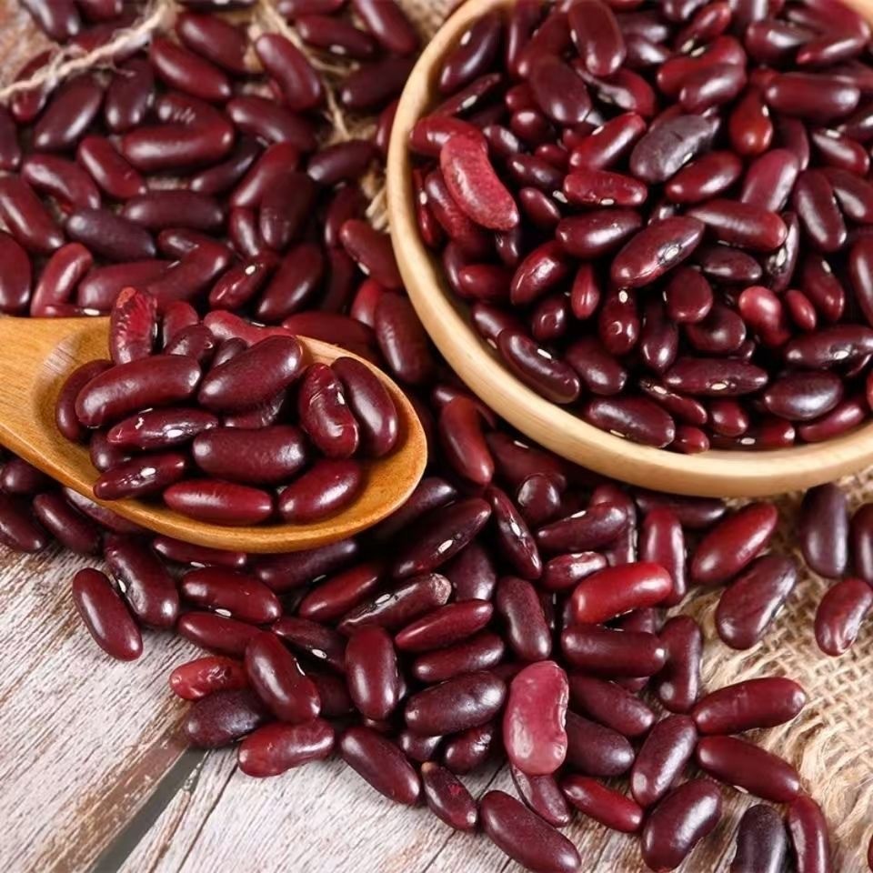 新红芸豆山西英国红腰豆 罐头甜品原料 山西红芸豆英国红图2