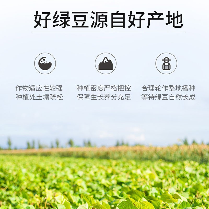 东北大粒绿豆明绿豆粥原料五谷杂粮起沙真空装豆子高蛋白图2
