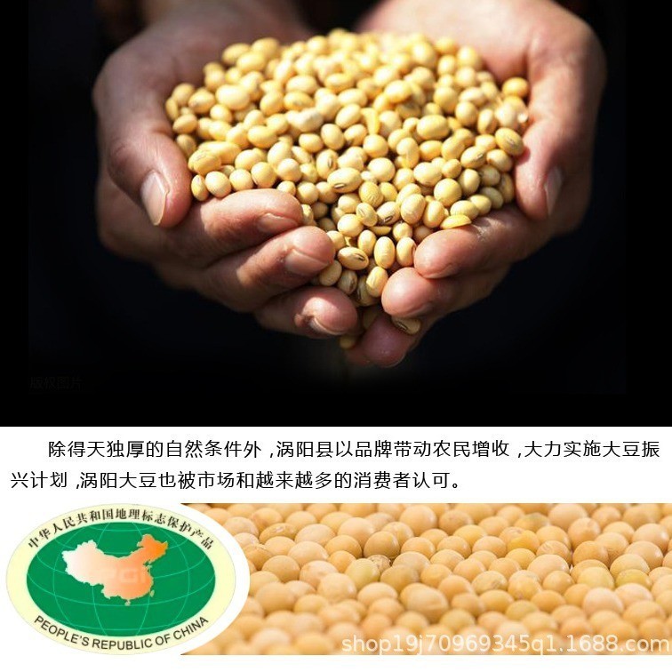 厂家非转基因涡阳黄豆发豆芽豆腐酱油专用五谷杂粮真空包装图3