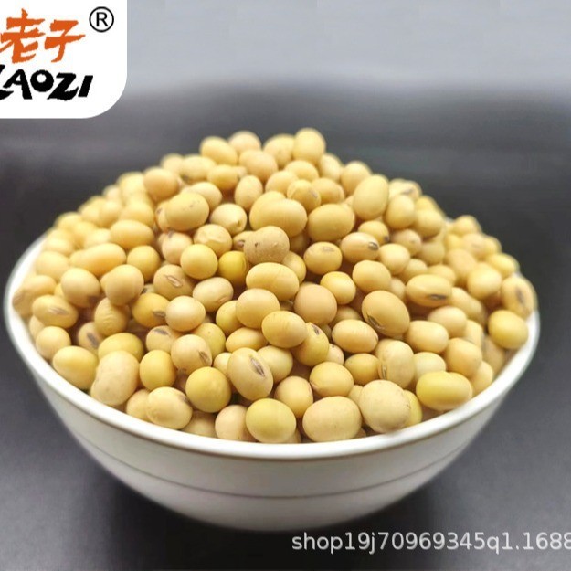 厂家非转基因涡阳黄豆发豆芽豆腐酱油专用五谷杂粮真空包装图2