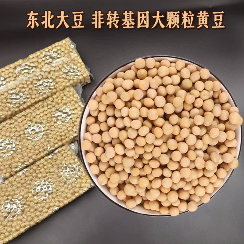 定制东北大豆大颗粒黄豆真空包装贴牌代工量大可优惠厂家直供图3