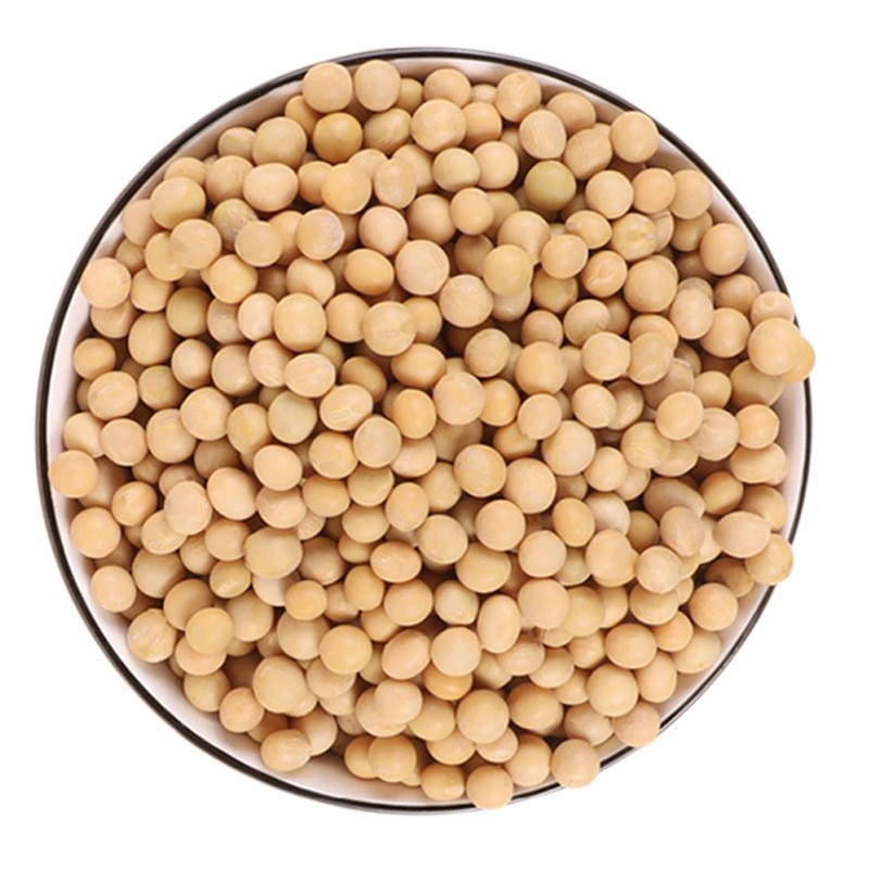 定制东北大豆大颗粒黄豆真空包装贴牌代工量大可优惠厂家直供图5