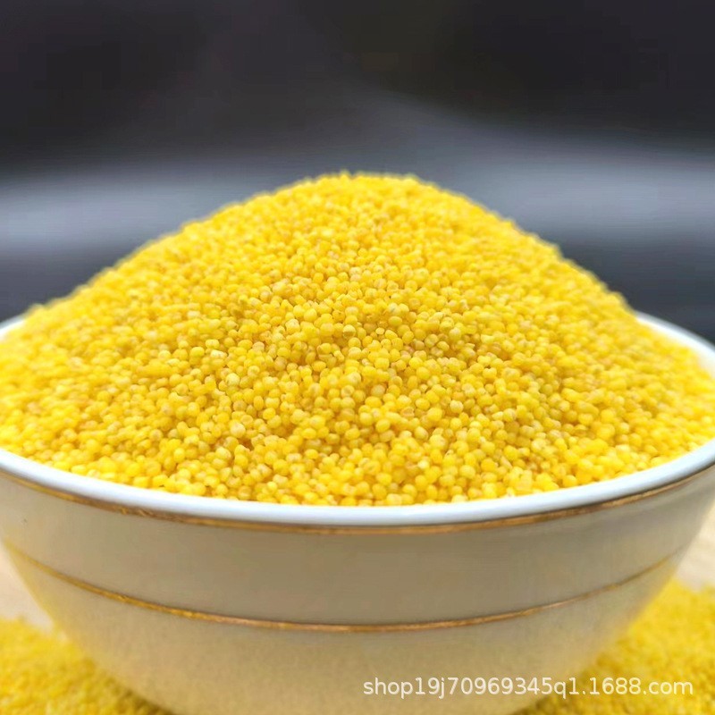 真空装新鲜小黄米赤峰黄小米早餐粥米月子粥原料五谷杂粮优质图4