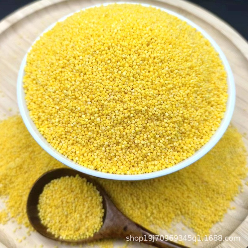 真空装新鲜小黄米赤峰黄小米早餐粥米月子粥原料五谷杂粮优质图3