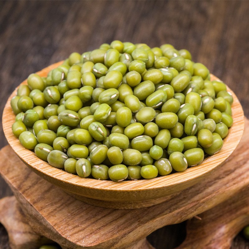 农家绿豆500g 绿小豆笨绿豆大绿豆五谷杂粮绿豆真空包装厂家图4