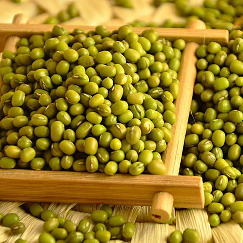 农家绿豆500g 绿小豆笨绿豆大绿豆五谷杂粮绿豆真空包装厂家图3