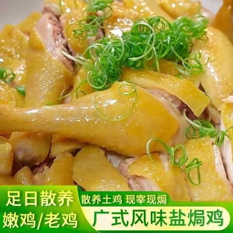 定制盐焗鸡整只下酒凉菜广式风味手撕卤烧鸡即食饭店熟食小吃