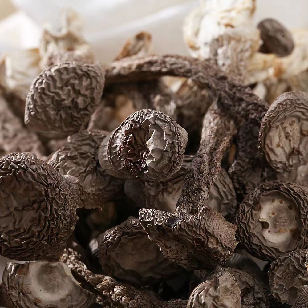 鹿茸菇干货 酒店专用火锅食材 鹿茸菌新货煲汤佳特色厂家图4