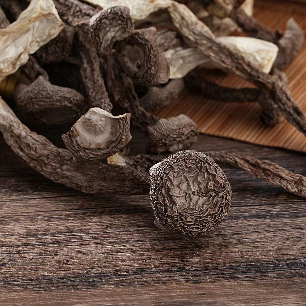 鹿茸菇干货 酒店专用火锅食材 鹿茸菌新货煲汤佳特色厂家图3