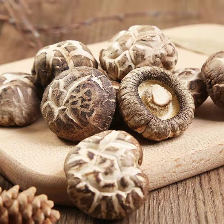 农家特产花菇肉厚清甜大花菇当季新货蘑菇香菇干货