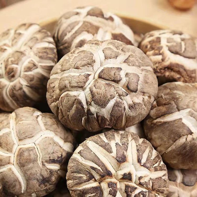 农家特产花菇肉厚清甜大花菇当季新货蘑菇香菇干货图3