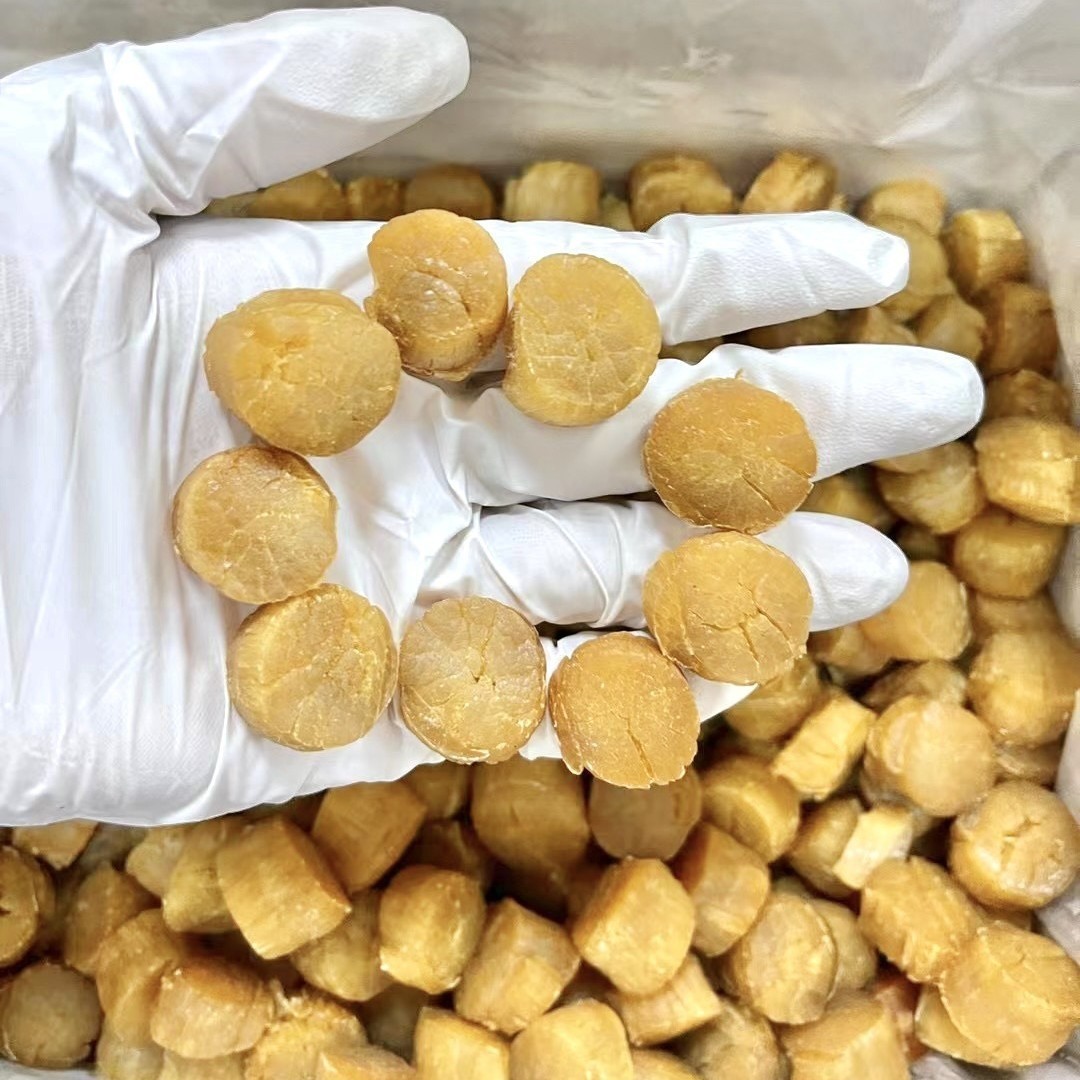 大连元贝足干瑶柱60头-1000头规格干贝海味干货图2