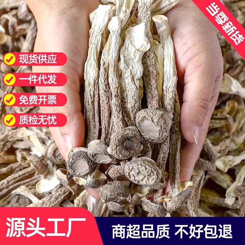 新货鹿茸菇干货鹿茸菌新鲜煲汤脆脆菇香菇农产品