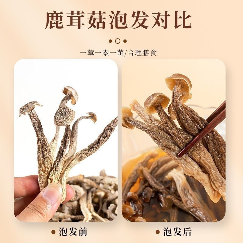 新货鹿茸菇干货鹿茸菌新鲜煲汤脆脆菇香菇农产品图2