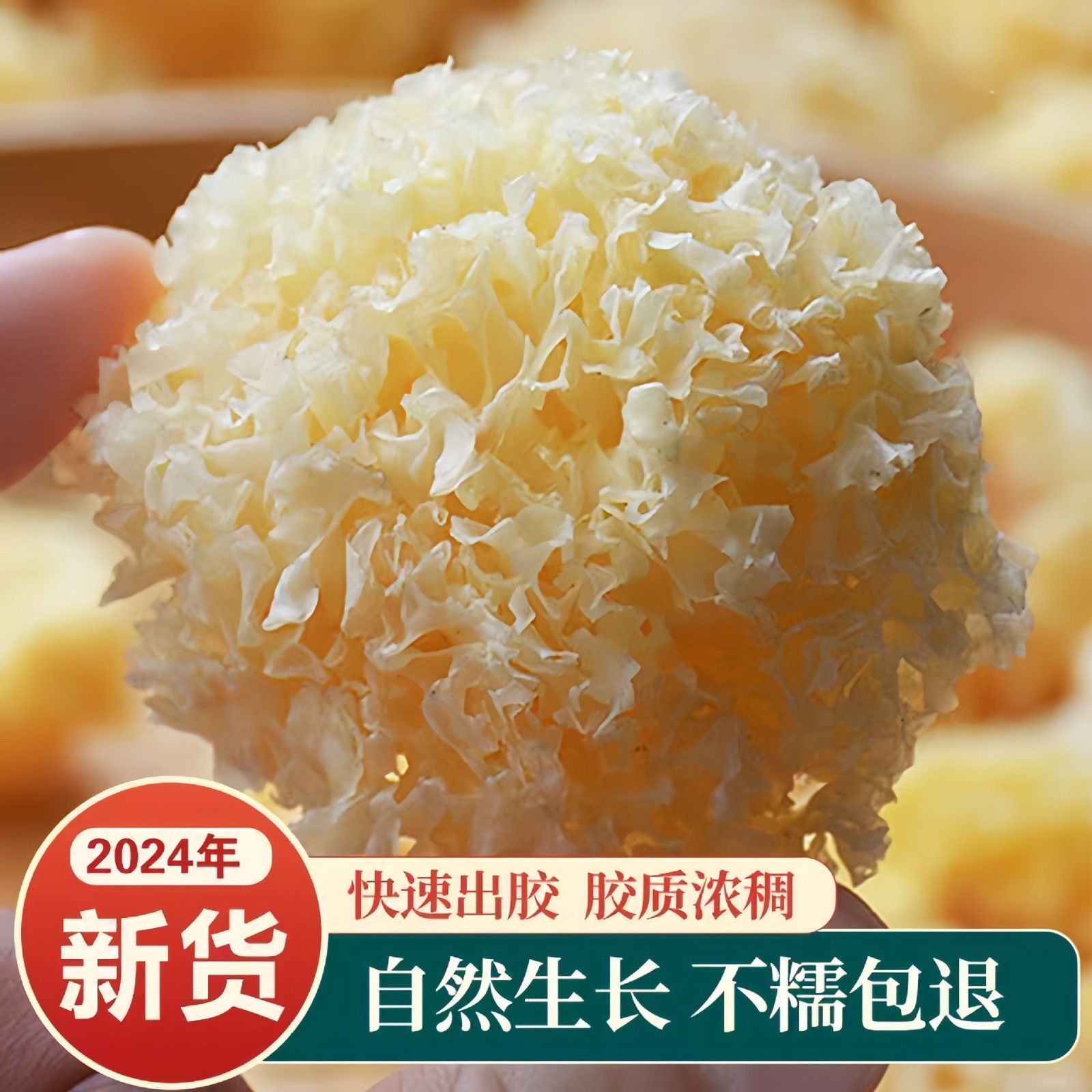 椴木小银耳新鲜无熏硫纯天然白木耳特级图2