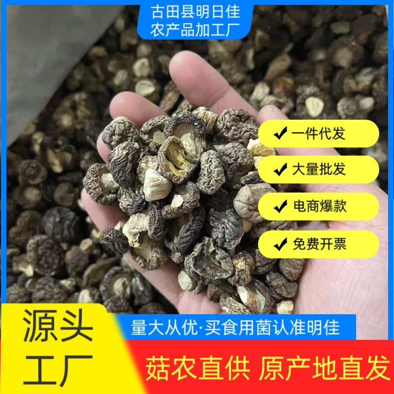 农家小香菇干货特小珍珠菇商用迷你小干香菇净重农家小蘑菇