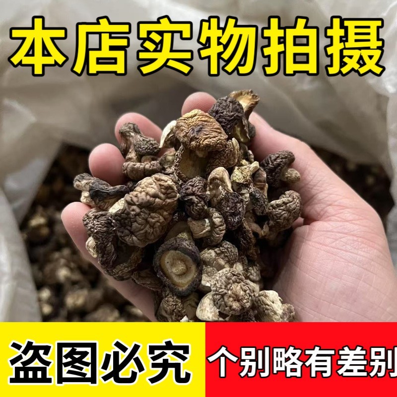 农家小香菇干货特小珍珠菇商用迷你小干香菇净重农家小蘑菇图4