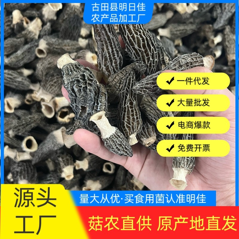 羊肚菌干货 云南种植基地直供支持样品验货