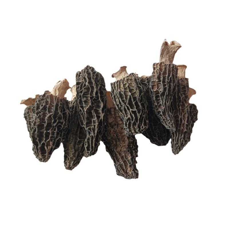 羊肚菌干货 云南种植基地直供支持样品验货图5