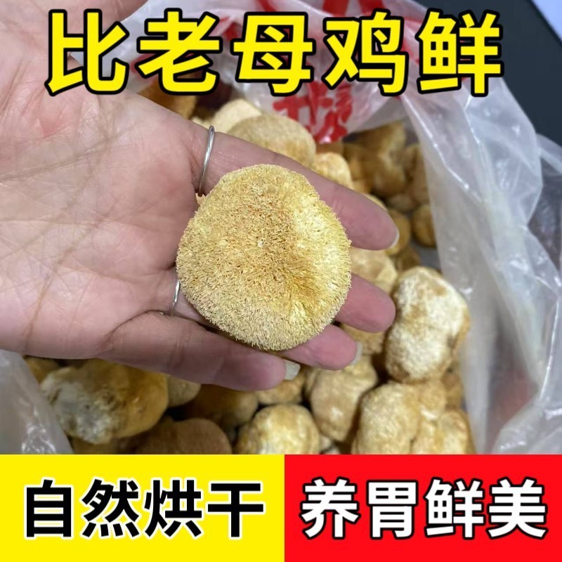 猴头菇干货小个头3~5公分猴头菌菇小包装工厂图2