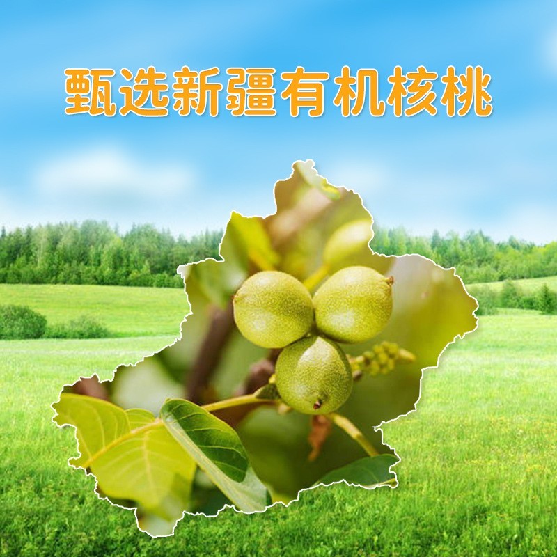 有机核桃油礼盒500ml*2瓶装团购福利节日礼品一级压榨核桃油图2