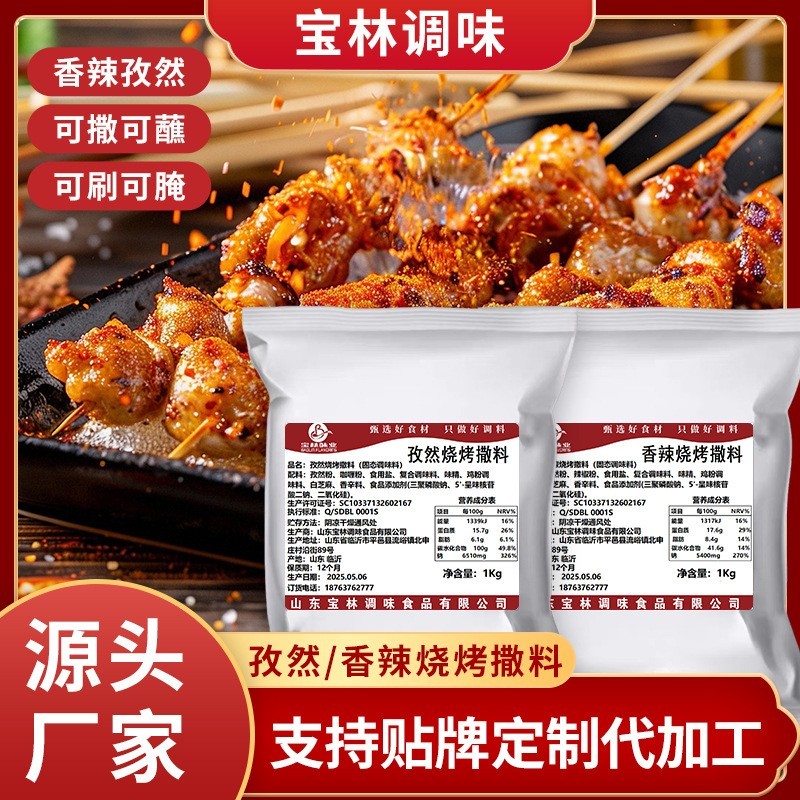 商用香辣烧烤撒料 淄博烧烤同款蘸料烧烤料 家用香辣炸串烧烤撒料