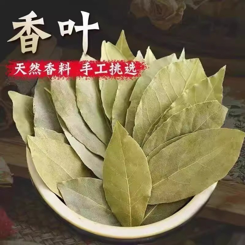 特级无柄香叶月桂叶 清香完整 足干不碎 炖肉卤料调料香料