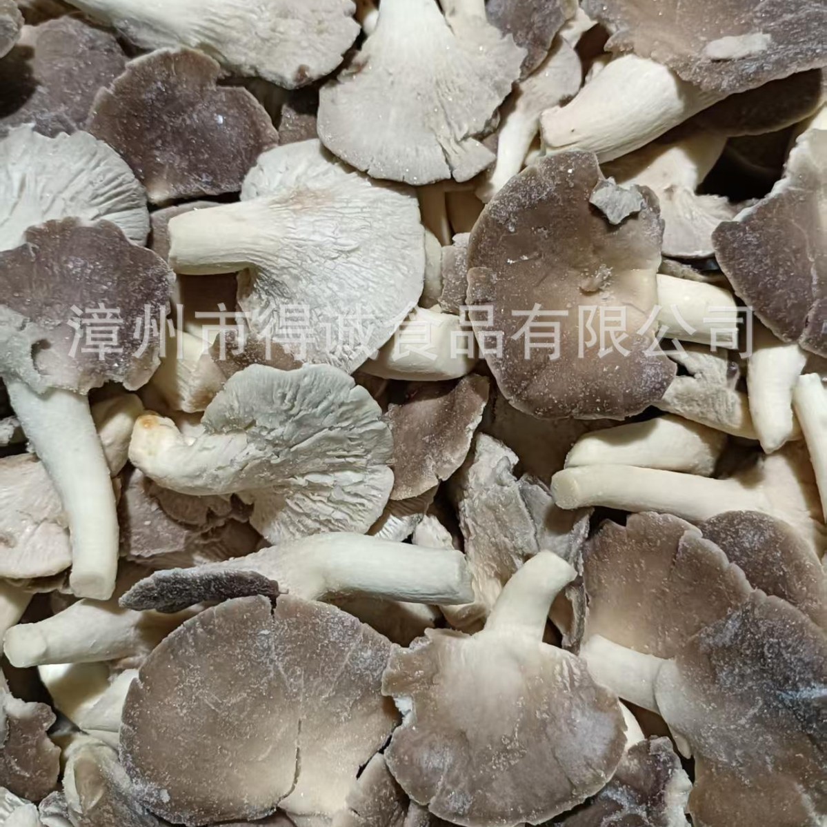 速冻秀珍菇冷冻秀珍菇VF果蔬原料