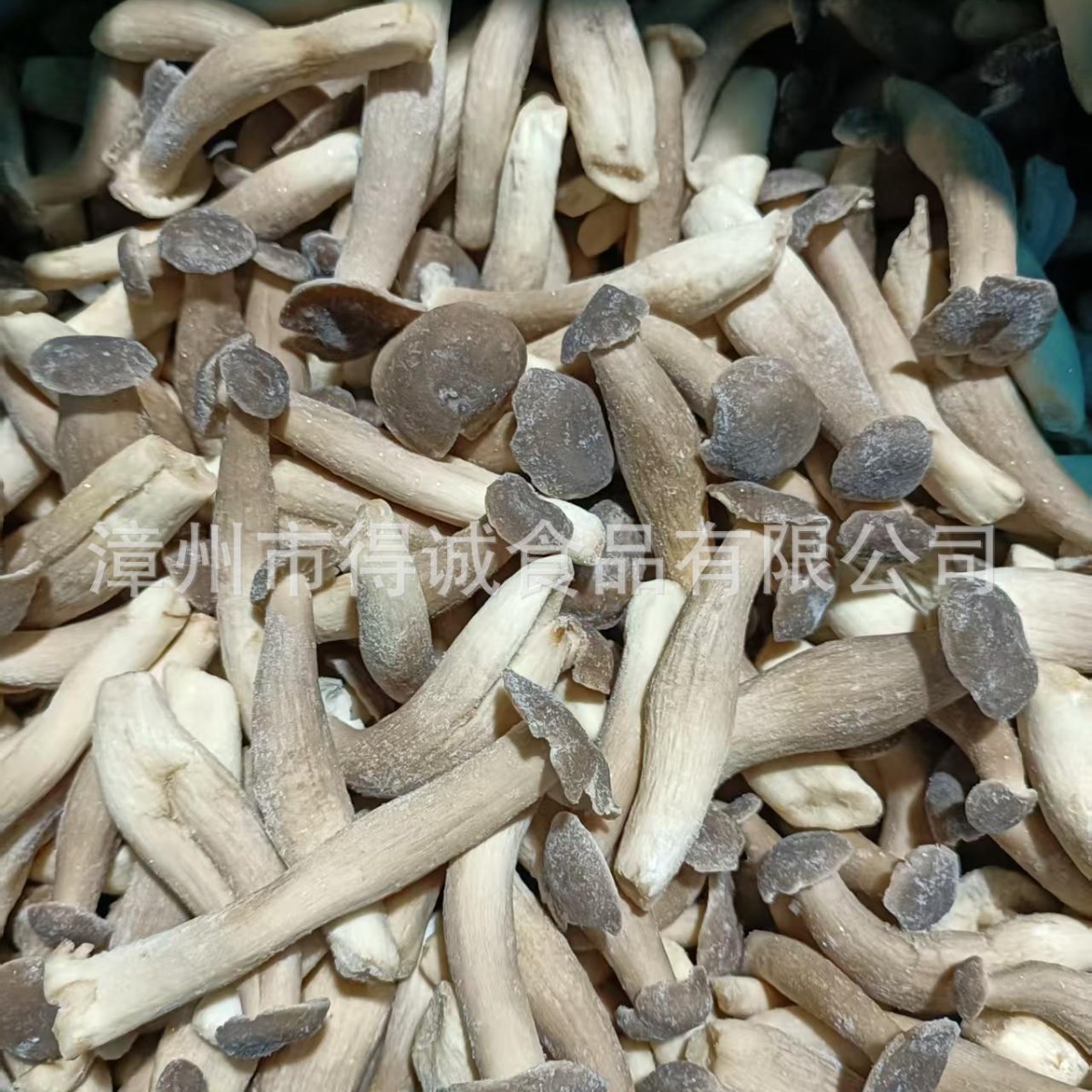 速冻鹿茸菇冷冻鹿茸菇VF果蔬原料