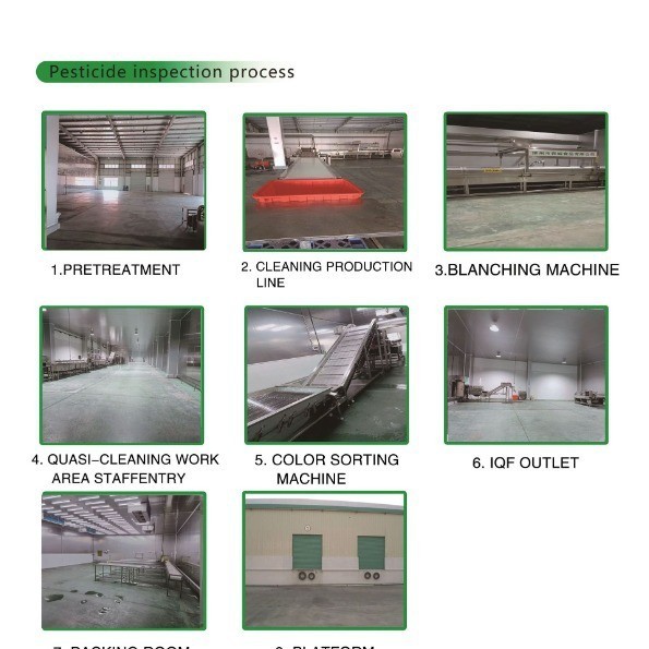 速冻鹿茸菇冷冻鹿茸菇VF果蔬原料图3