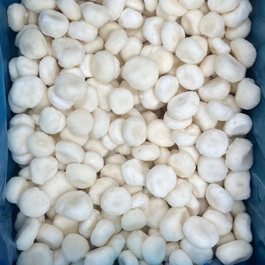 新季厂家直供冷冻马蹄丁马蹄整粒马蹄片餐饮原料包子陷用图3