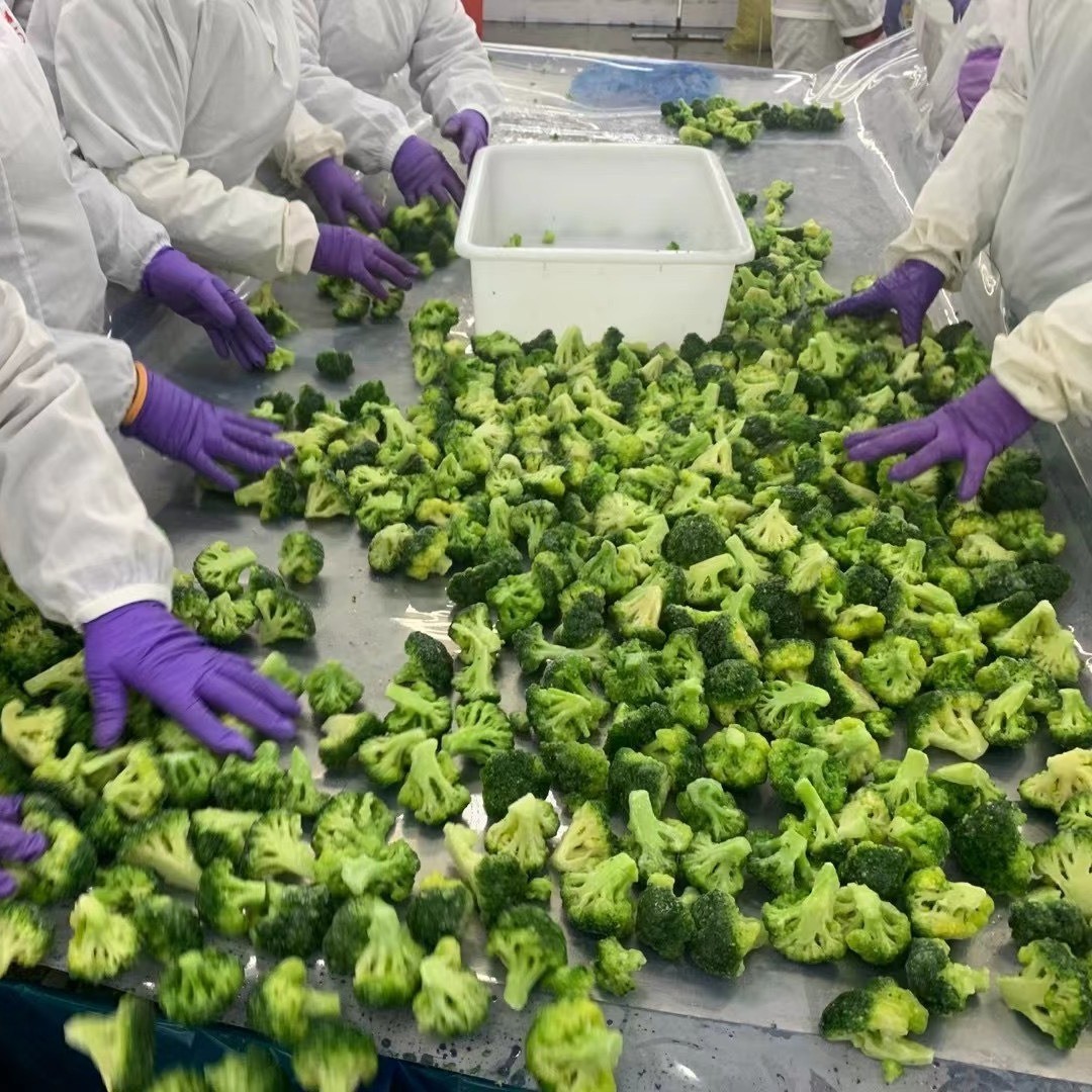 酒店餐饮速冻西兰花配菜蔬菜冷冻青花菜图2