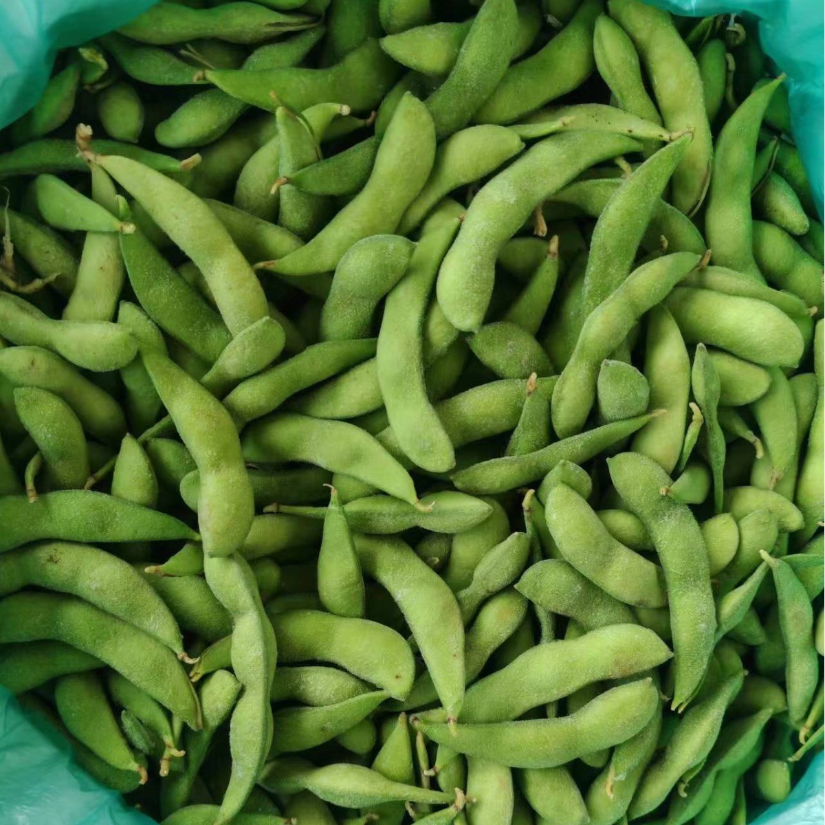 速冻毛豆仁毛豆荚餐饮休闲小吃冷冻毛豆图4