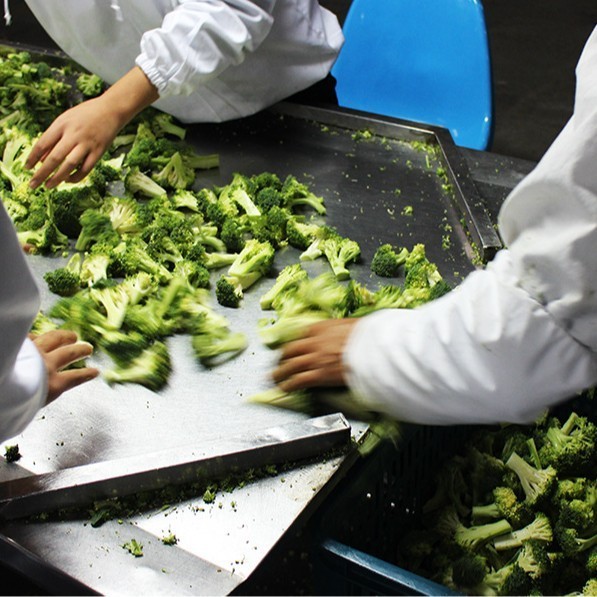 速冻西兰花冷冻绿花菜净菜商用图2