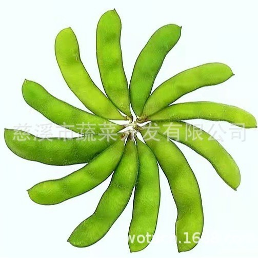 出口品种 台湾75-3 冷冻毛豆 速冻休闲毛豆荚 全程冷图2