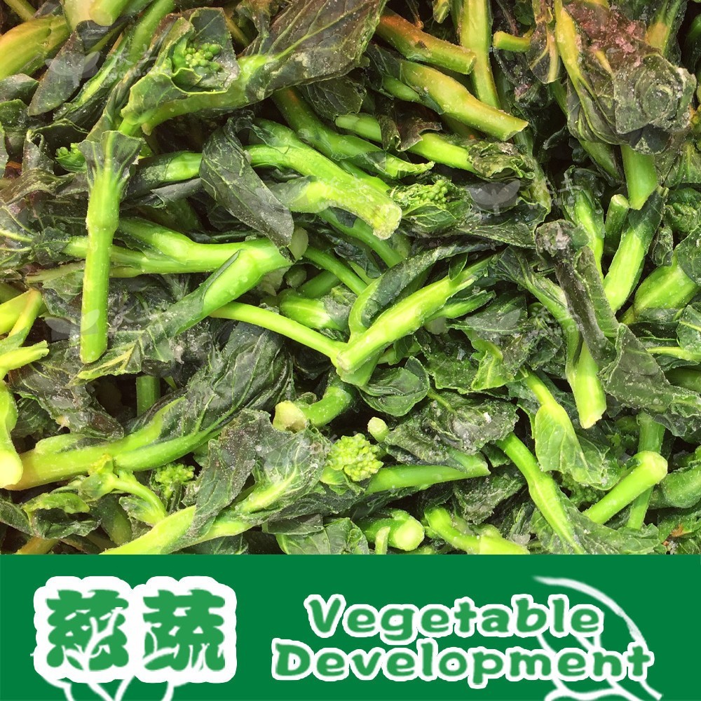 【厂家定制加工】速冷冻蔬菜方便净菜速冻油菜心IQF油菜花商用