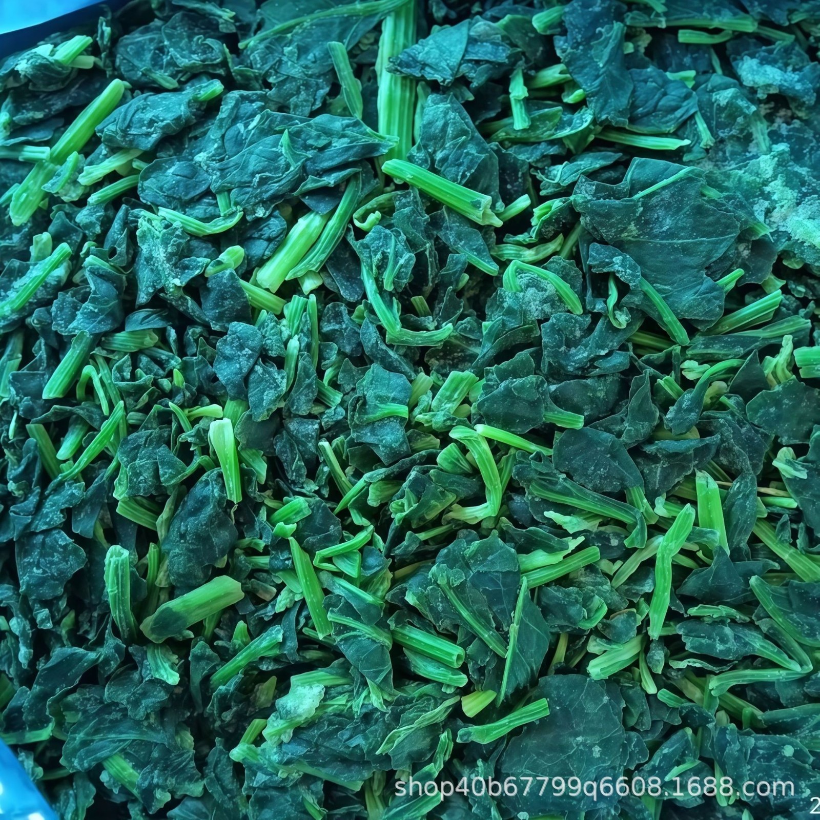 冷冻菠菜段 单冻菠菜碎 速冻菠菜叶 餐饮商用速冻蔬菜原料图4